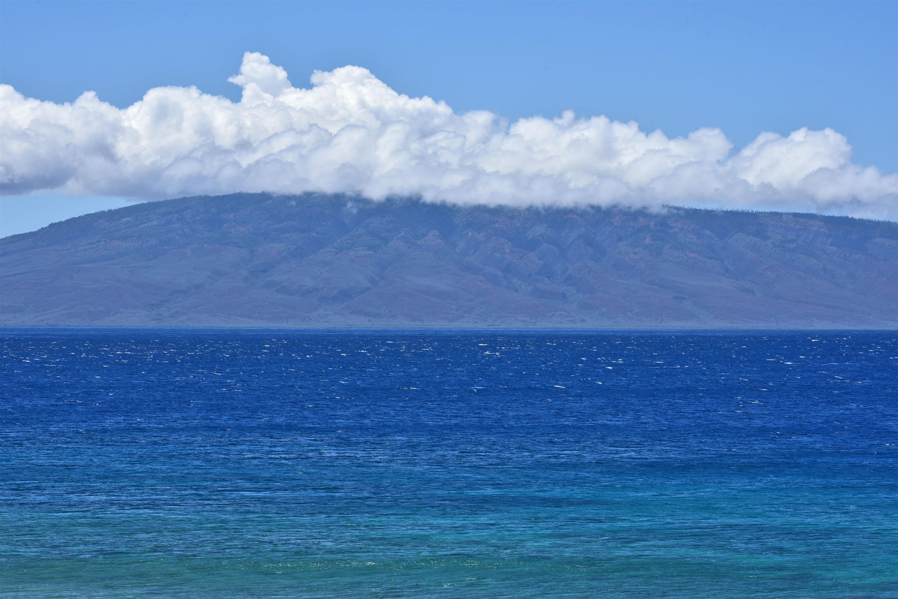Mahana condo # 817, Lahaina, Hawaii - photo 25 of 36