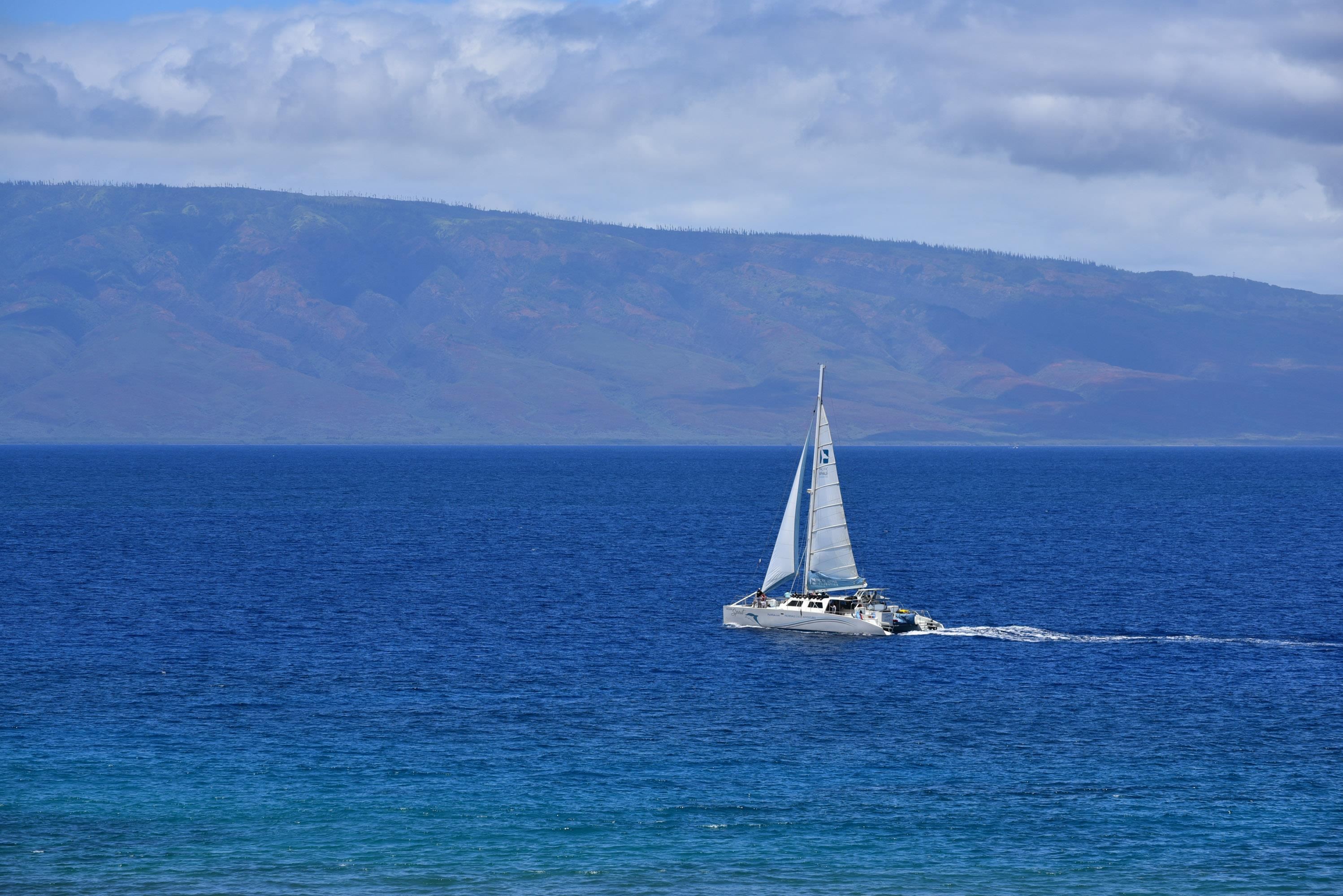 Mahana condo # 913, Lahaina, Hawaii - photo 38 of 49