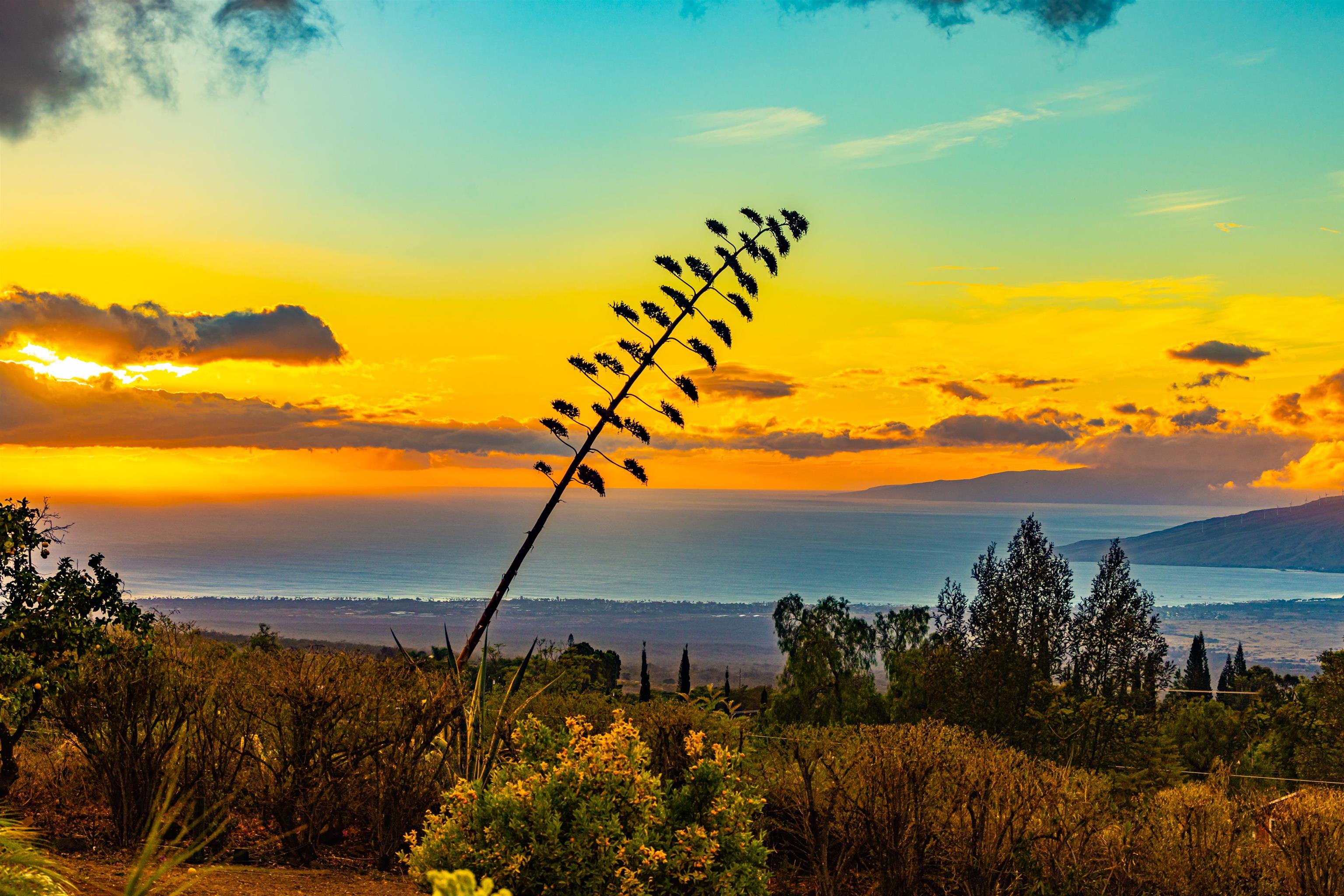 110  Kamehameiki Rd Kula, Kula/Ulupalakua/Kanaio home - photo 5 of 50