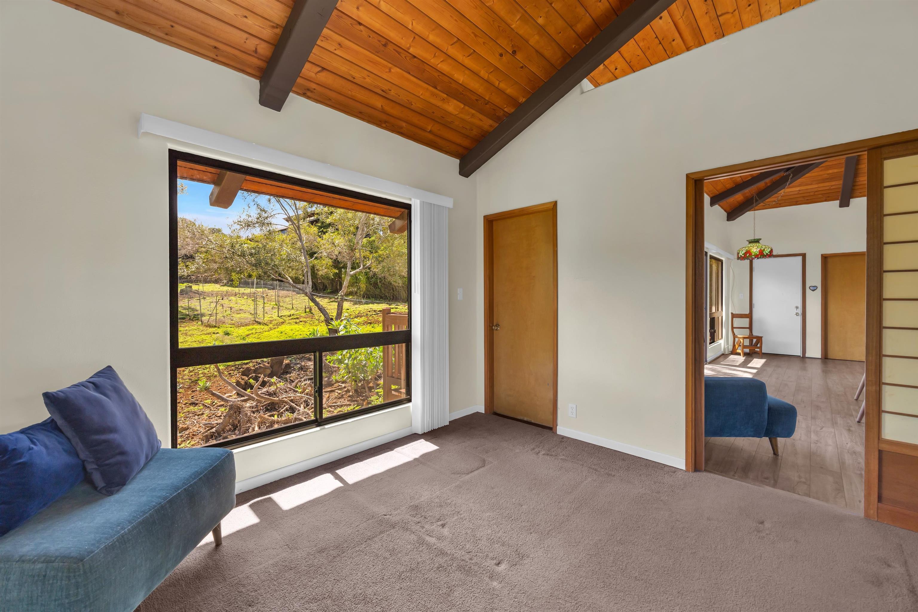 110  Kamehameiki Rd Kula, Kula/Ulupalakua/Kanaio home - photo 43 of 50