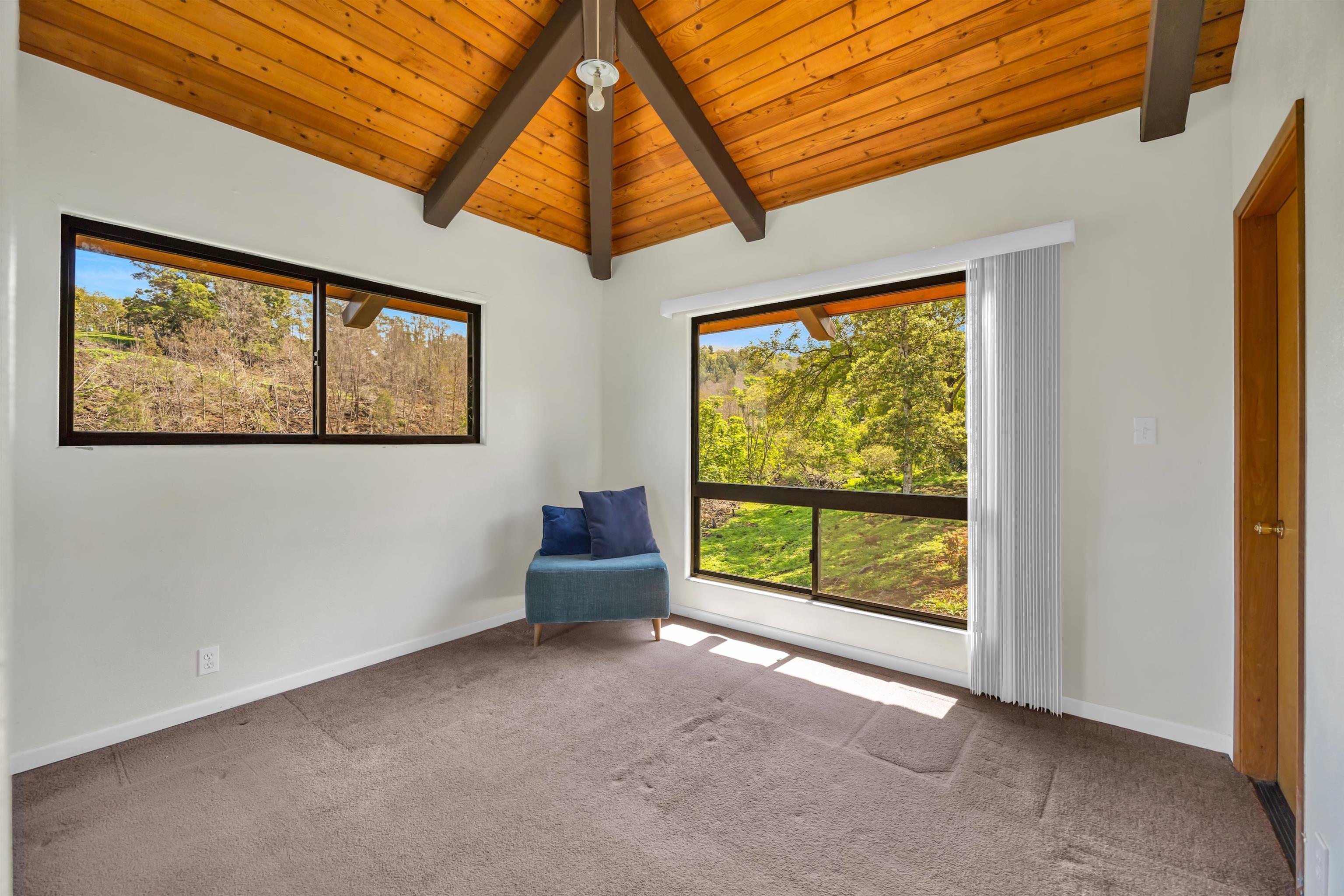 110  Kamehameiki Rd Kula, Kula/Ulupalakua/Kanaio home - photo 44 of 50