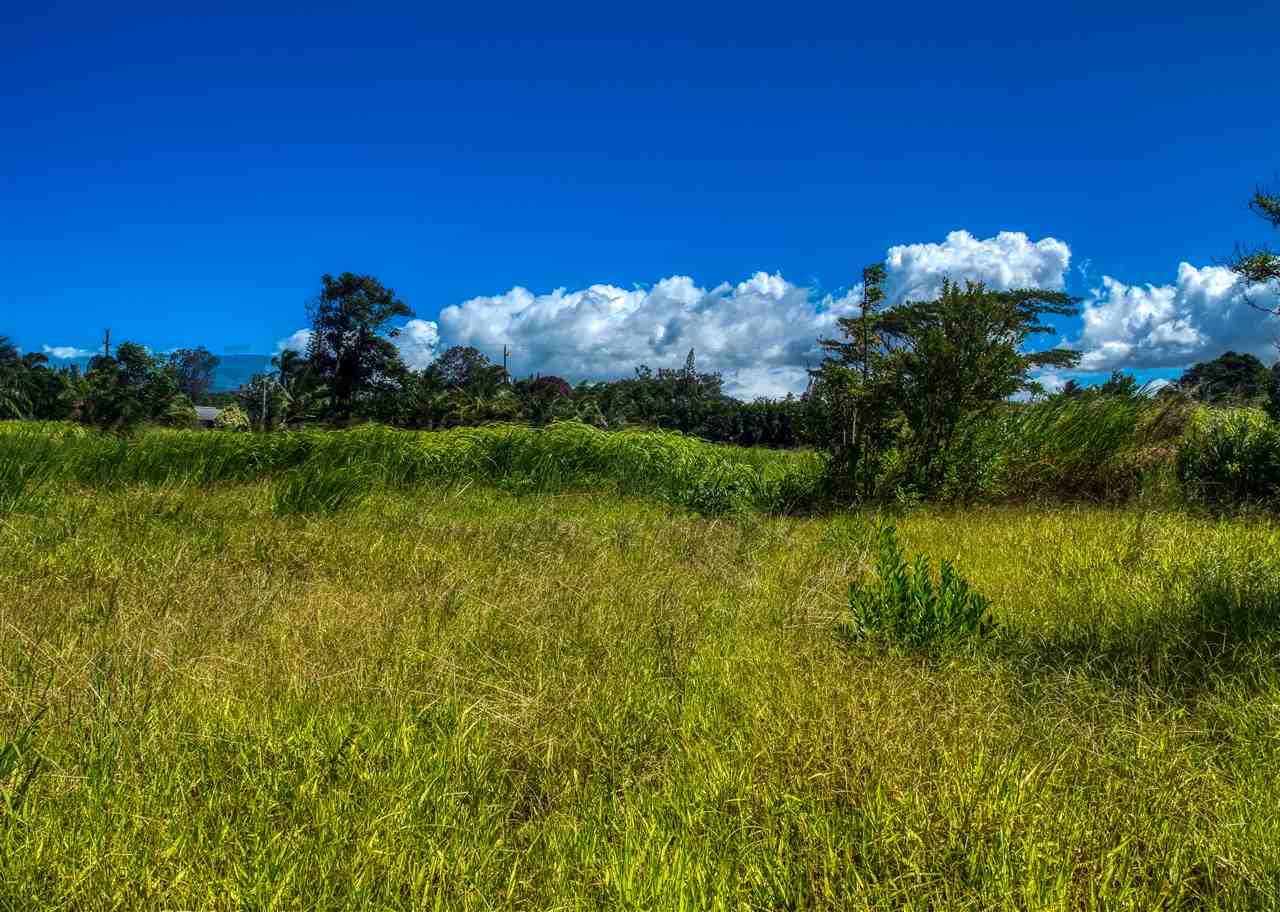 110 Kauaheahe Pl  Haiku, Hi vacant land for sale - photo 11 of 21