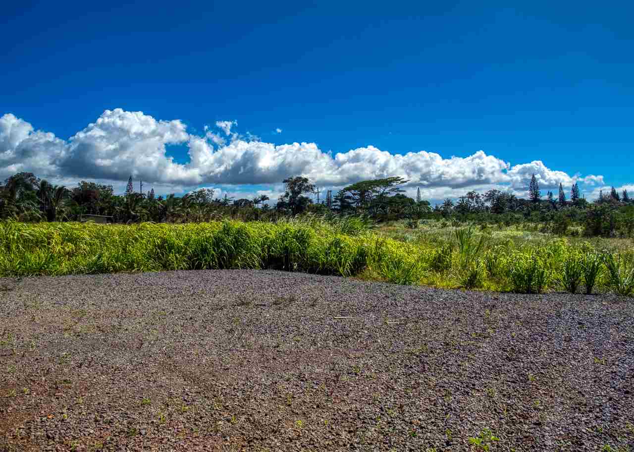 110 Kauaheahe Pl  Haiku, Hi vacant land for sale - photo 14 of 21