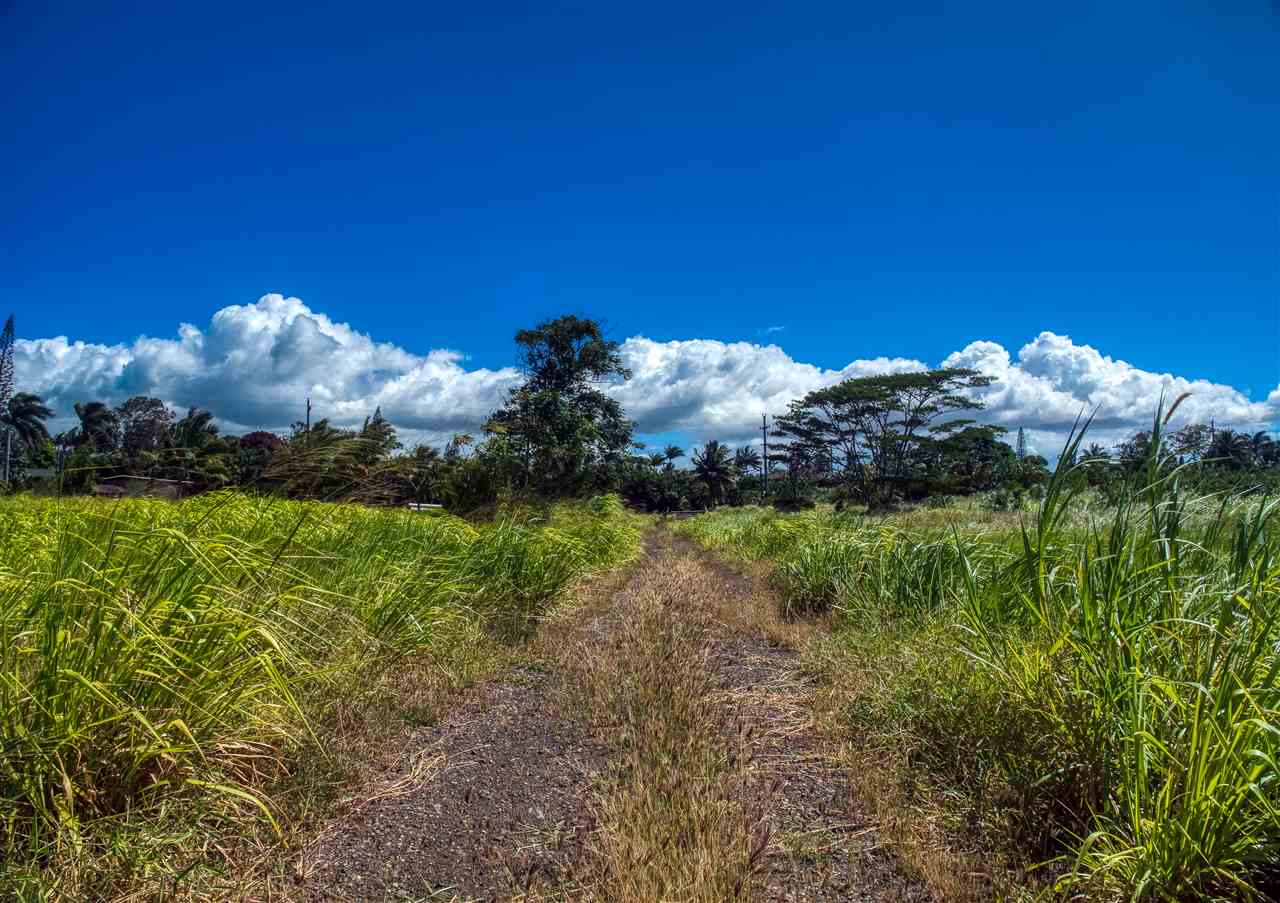 110 Kauaheahe Pl  Haiku, Hi vacant land for sale - photo 16 of 21