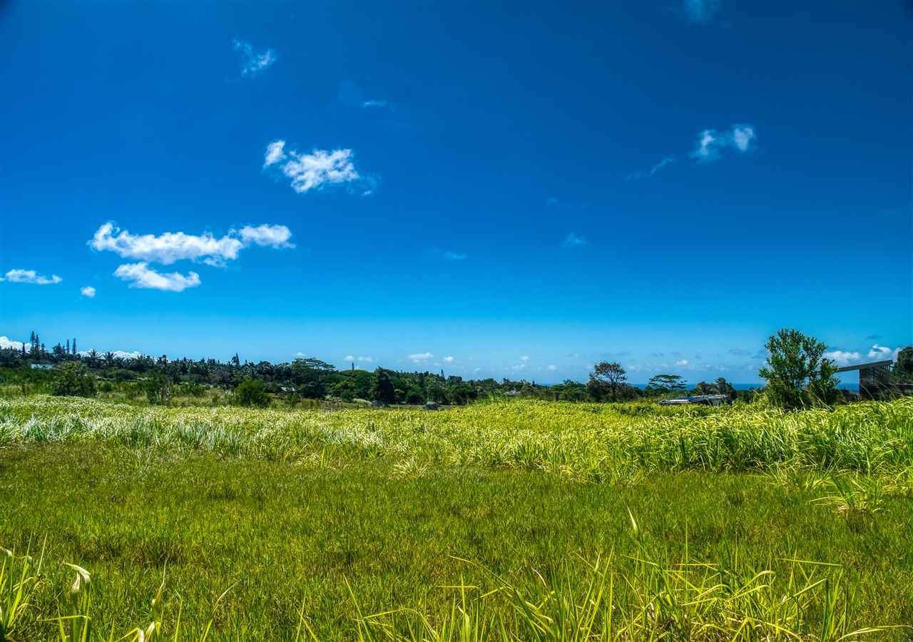 110 Kauaheahe Pl  Haiku, Hi vacant land for sale - photo 19 of 21