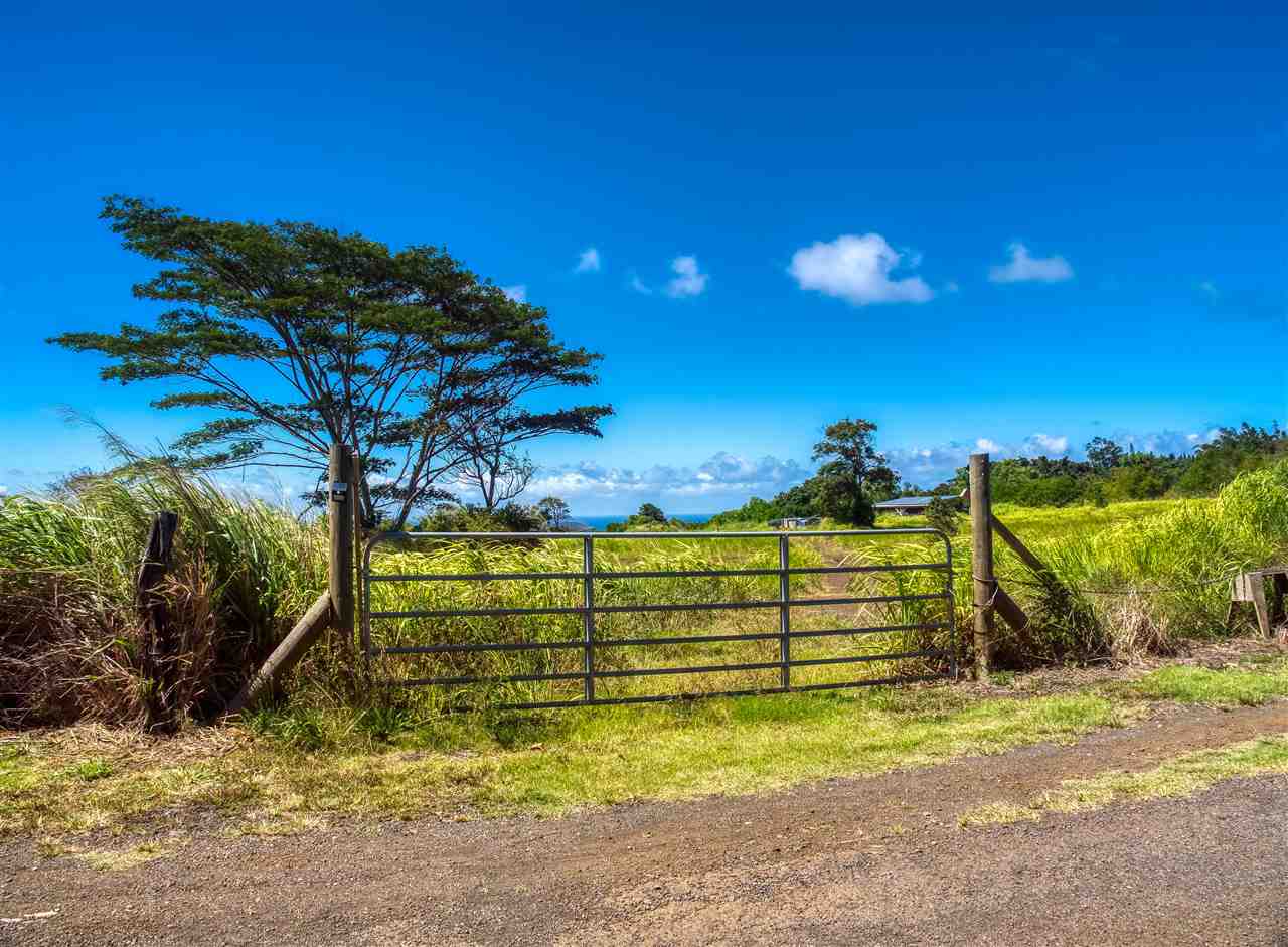 110 Kauaheahe Pl  Haiku, Hi vacant land for sale - photo 21 of 21