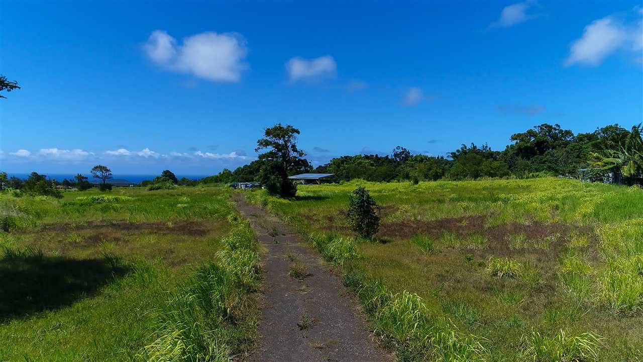 110 Kauaheahe Pl  Haiku, Hi vacant land for sale - photo 7 of 21