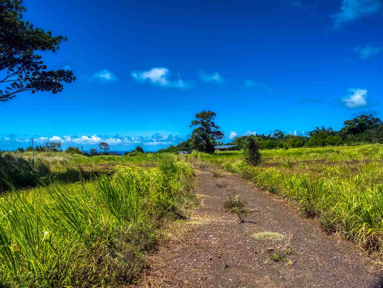 110 Kauaheahe Pl  Haiku, Hi vacant land for sale - photo 9 of 21