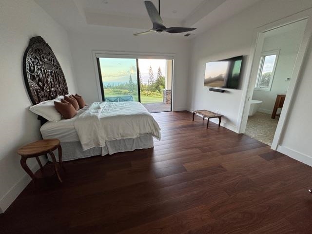 110  Keoawa St , Kapalua home - photo 6 of 11