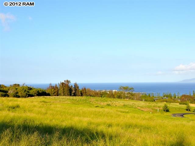 110 Keoawa St Lot 15 Lahaina, Hi vacant land for sale - photo 2 of 17