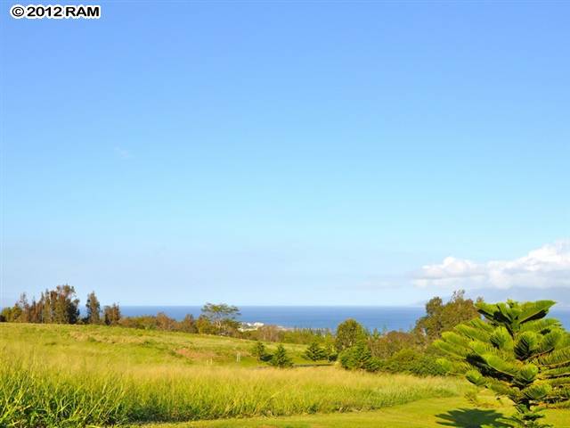 110 Keoawa St Lot 15 Lahaina, Hi vacant land for sale - photo 3 of 17