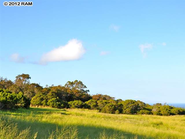 110 Keoawa St Lot 15 Lahaina, Hi vacant land for sale - photo 5 of 17