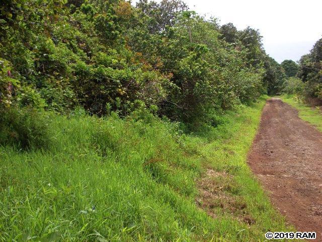 110 Waiho'i Rd  Hana, Hi 96713 vacant land - photo 9 of 9