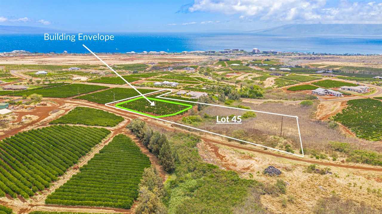 1100 Aina Mahiai St 45 Lahaina, Hi vacant land for sale - photo 2 of 7