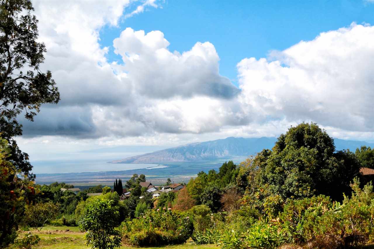 1100  Upper Kimo Dr Upper Kimo, Kula/Ulupalakua/Kanaio home - photo 28 of 30