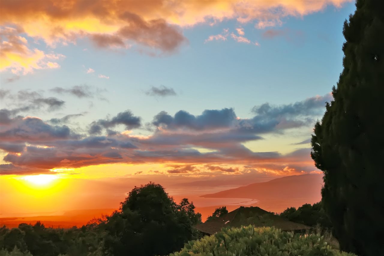 1100  Upper Kimo Dr Upper Kimo, Kula/Ulupalakua/Kanaio home - photo 29 of 30