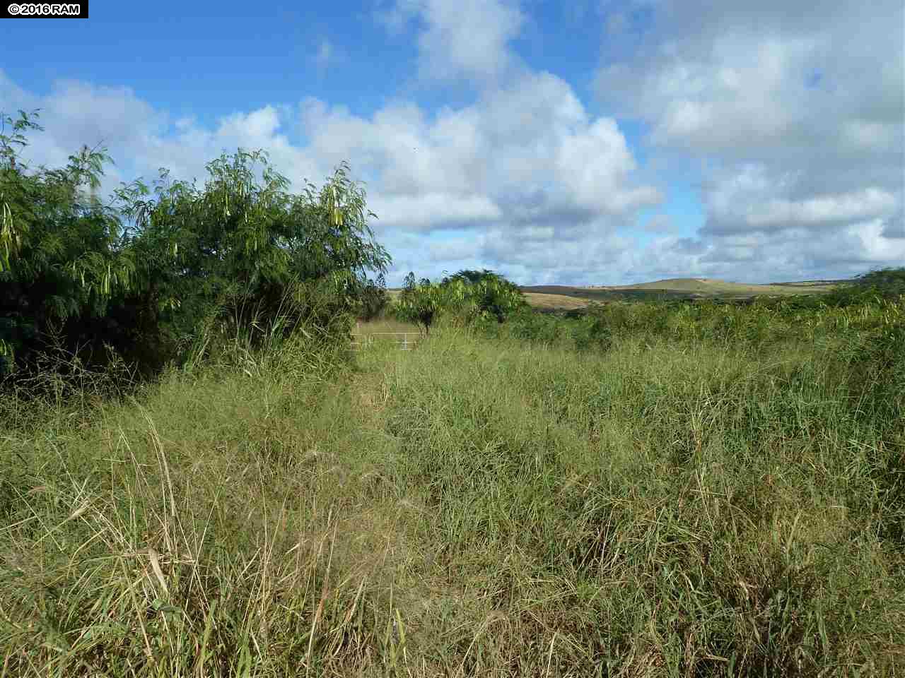 1104 Kalua Koi Rd 24 Kaunakakai, Hi vacant land for sale - photo 6 of 6