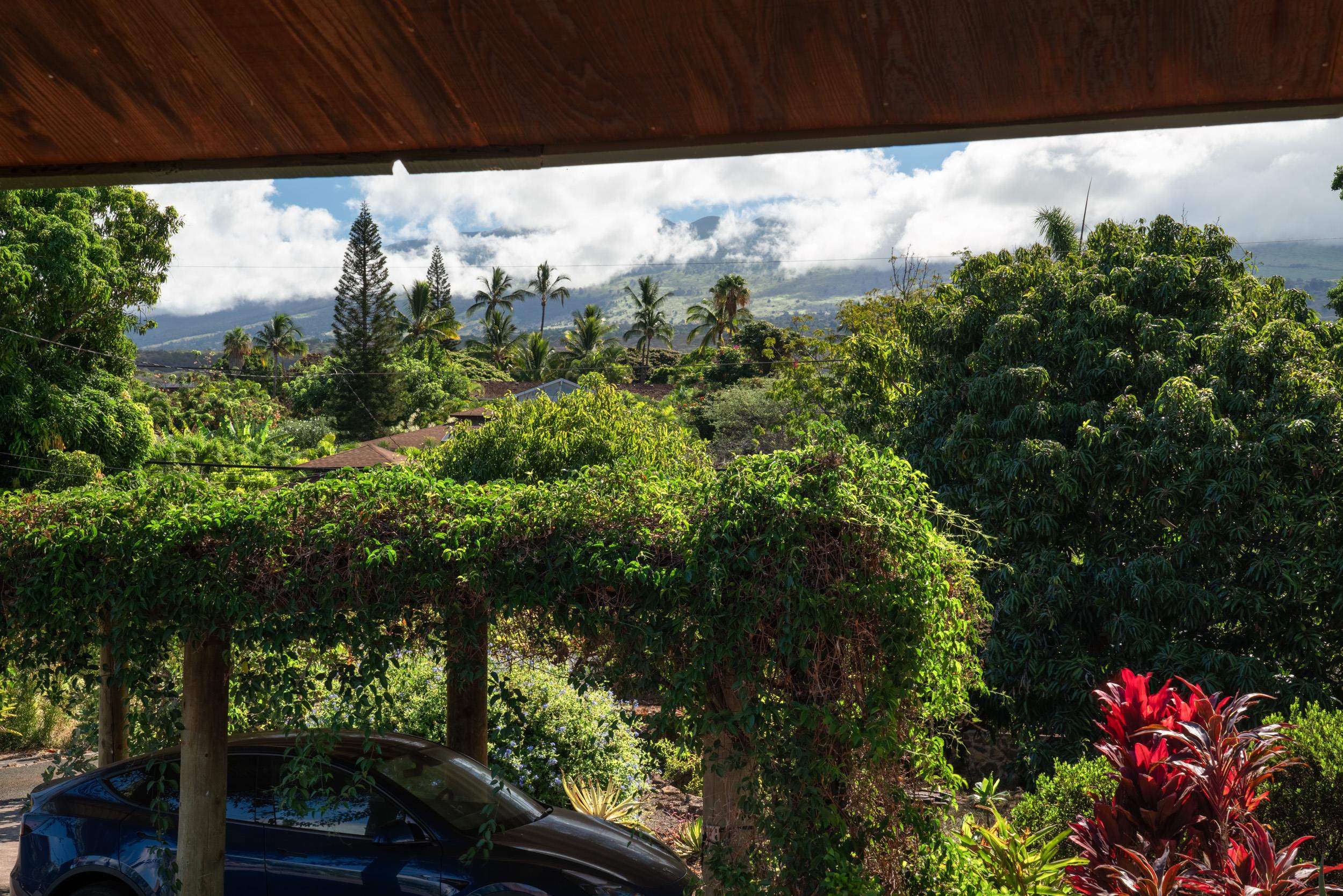 1108  Kupulau Dr Maui Meadows, Maui Meadows home - photo 30 of 30