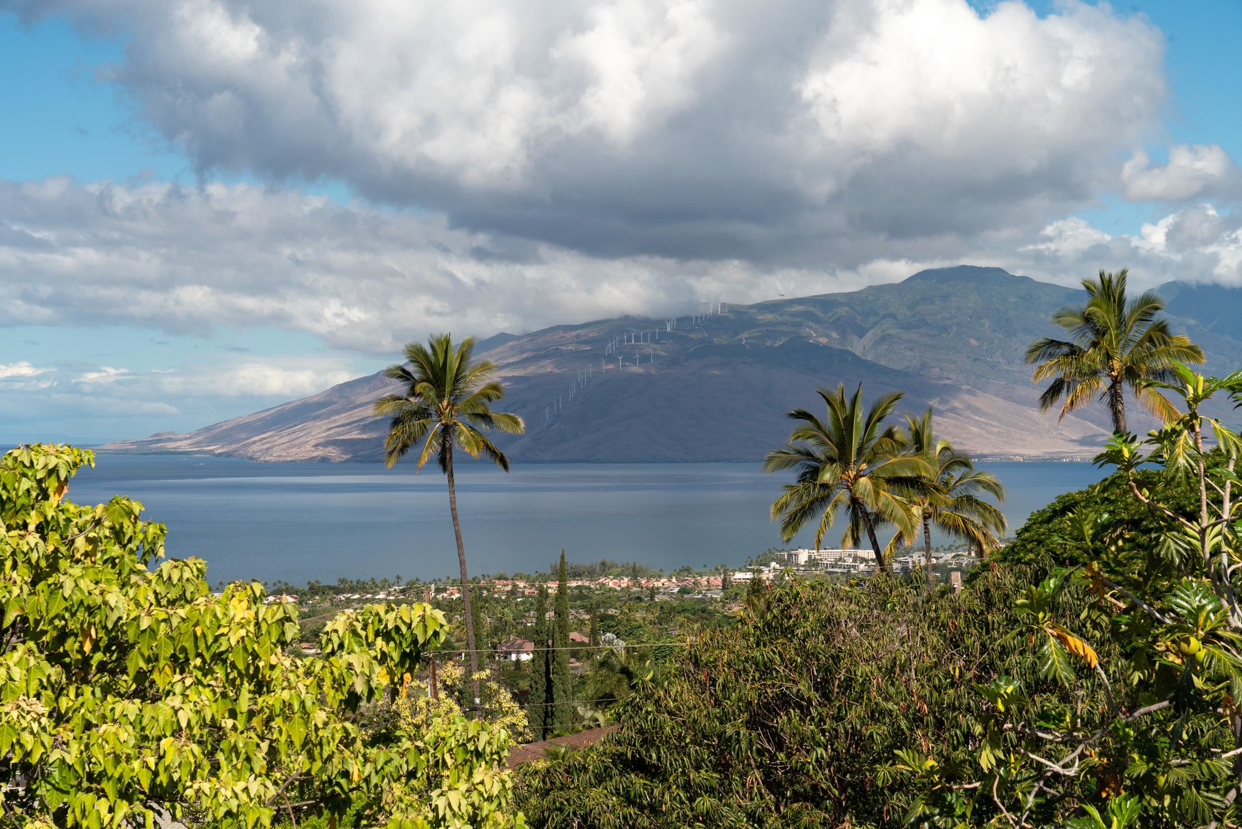 1108  Kupulau Dr Maui Meadows, Maui Meadows home - photo 7 of 30