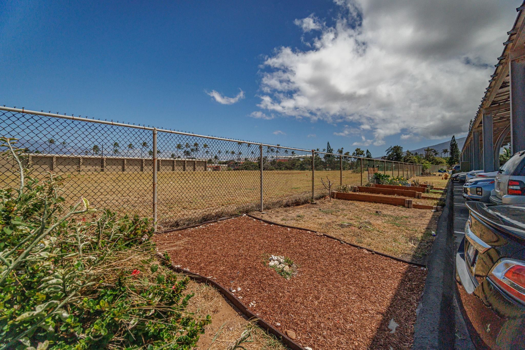 Harbor Lights condo # A112, Kahului, Hawaii - photo 20 of 30