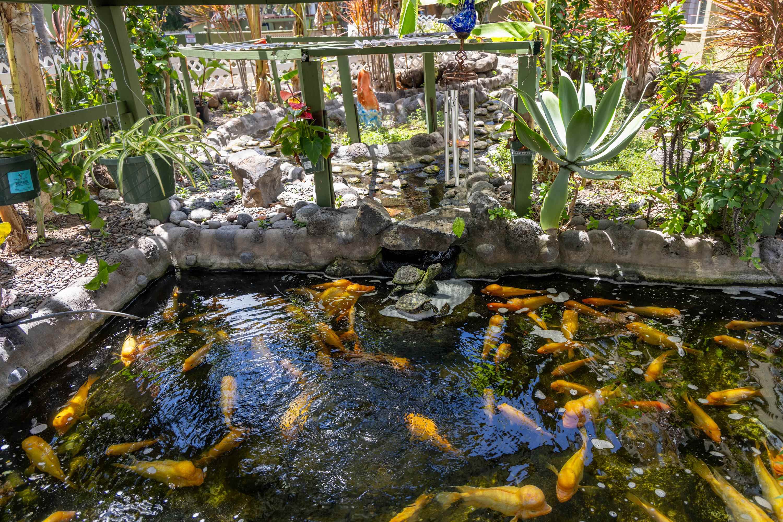 Harbor Lights condo # A121, Kahului, Hawaii - photo 26 of 41