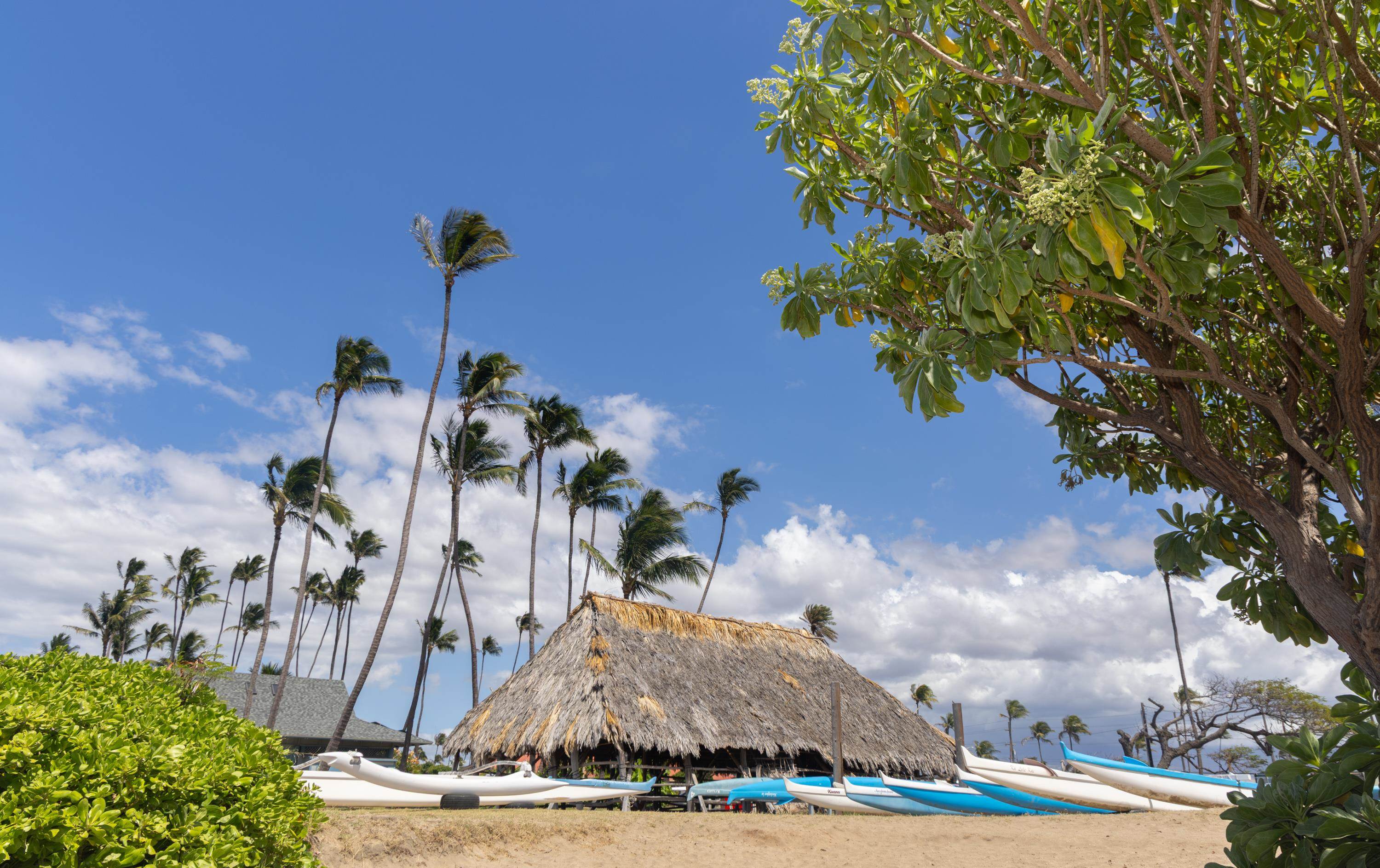 Harbor Lights condo # A121, Kahului, Hawaii - photo 41 of 41