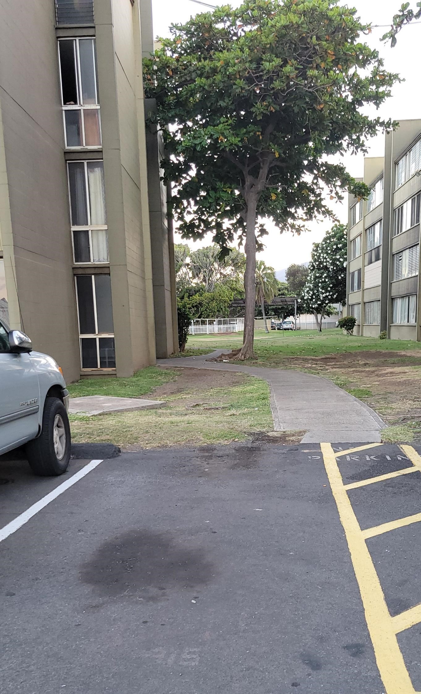 Harbor Lights condo # A-127, Kahului, Hawaii - photo 30 of 31