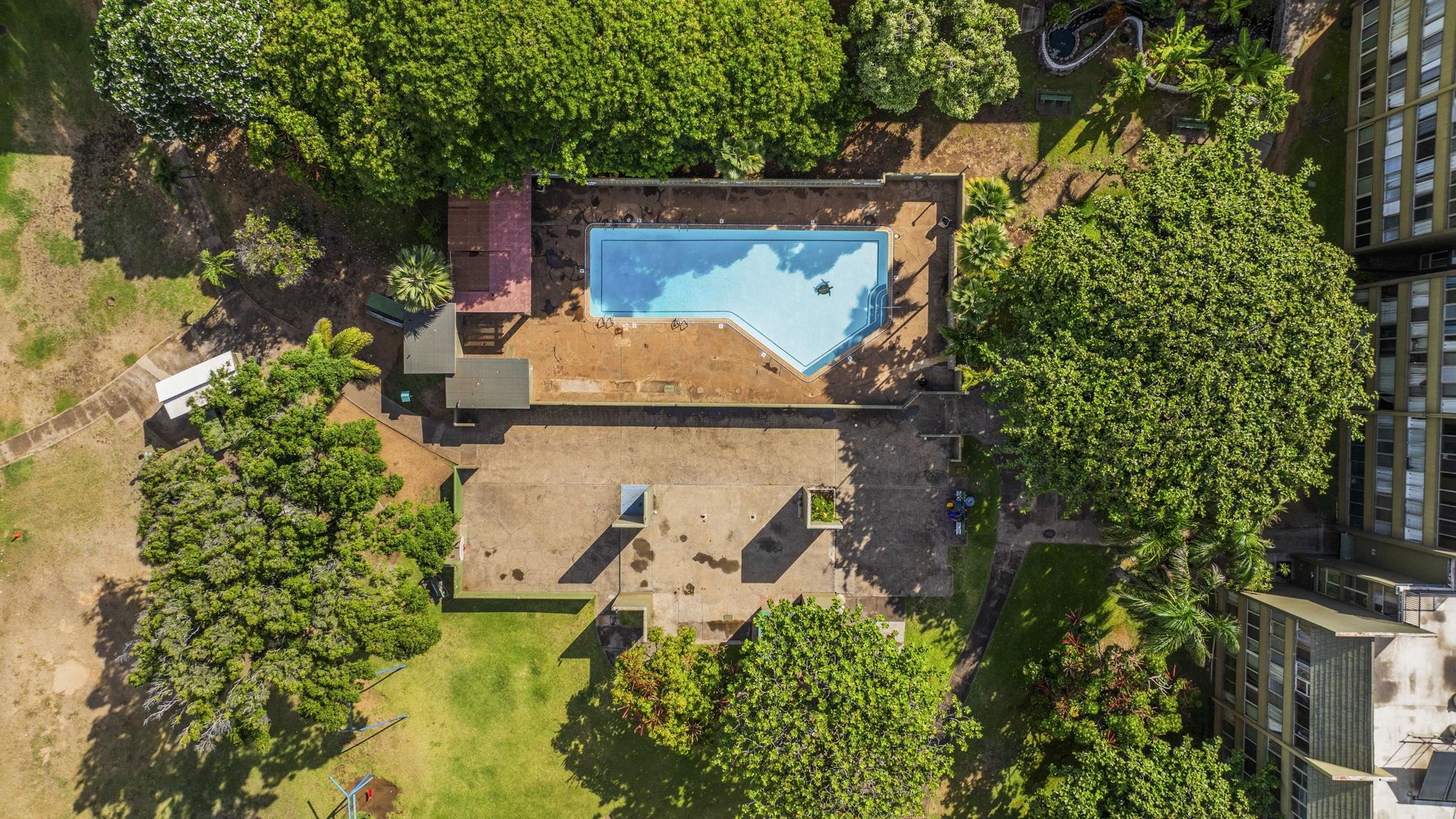 Harbor Lights condo # A310, Kahului, Hawaii - photo 24 of 35