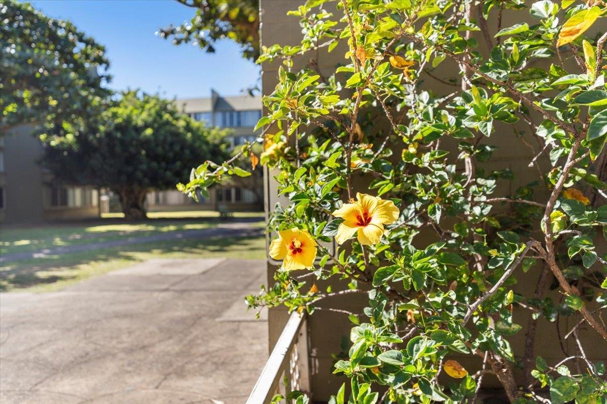 Harbor Lights condo # A312, Kahului, Hawaii - photo 19 of 25