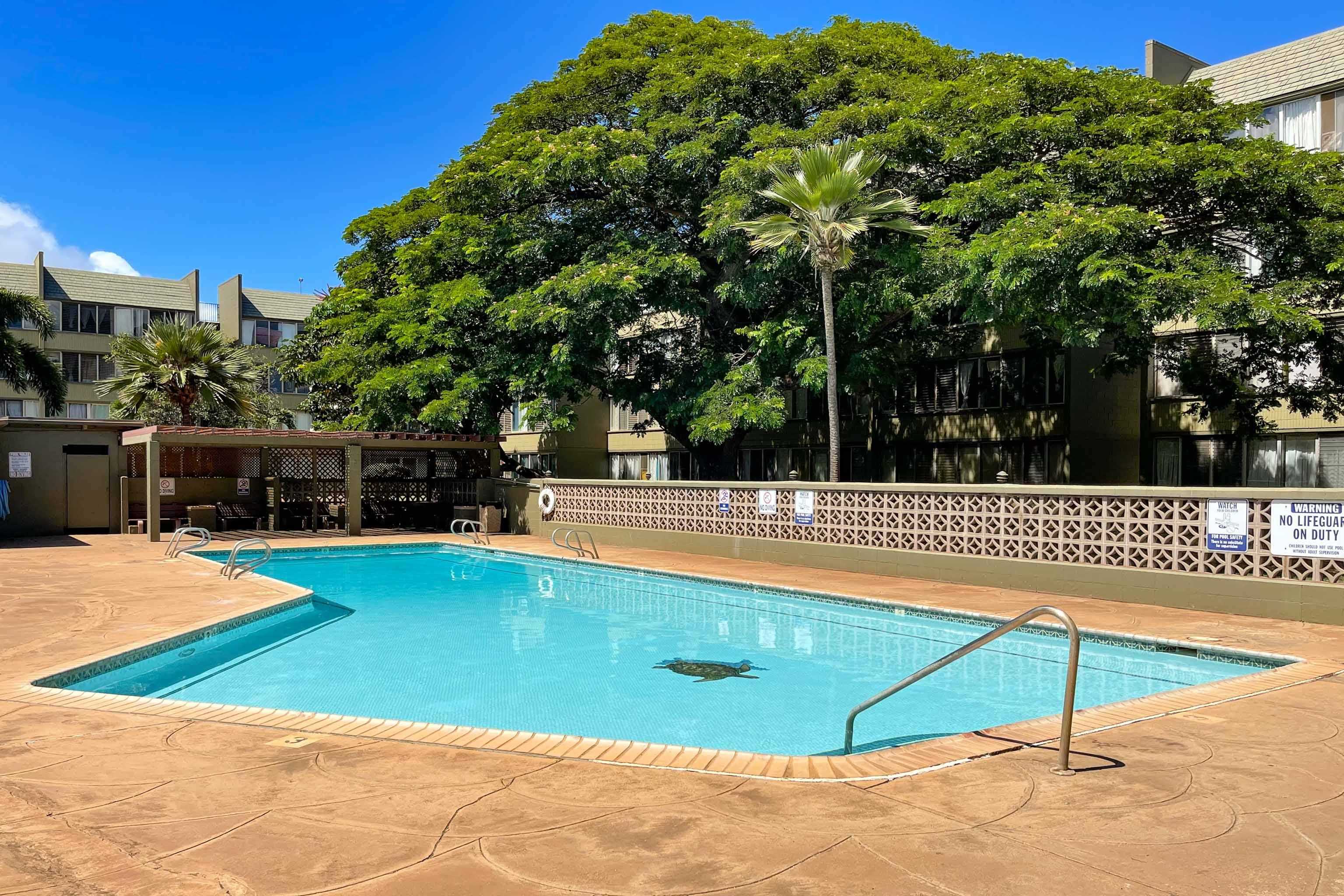 Harbor Lights condo # A317, Kahului, Hawaii - photo 24 of 29