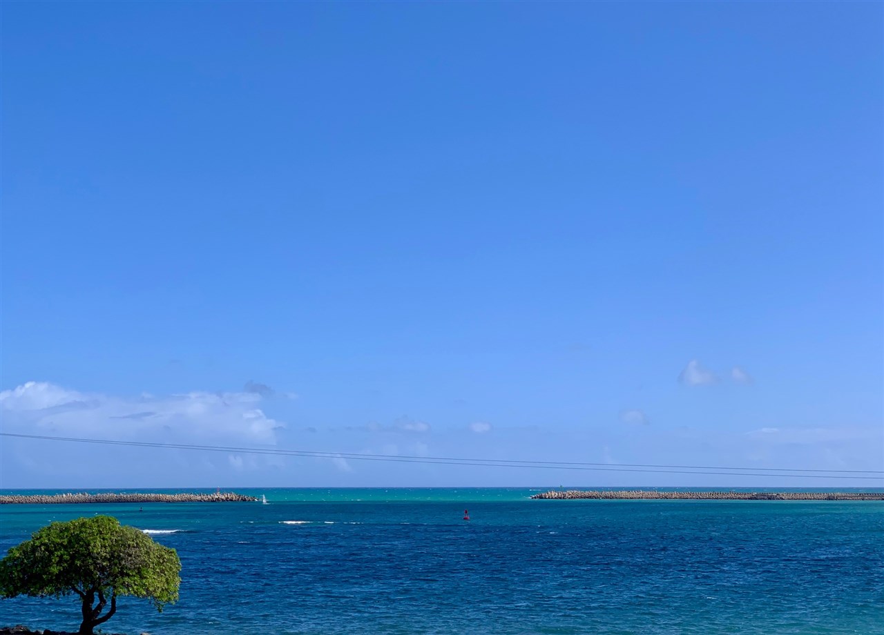 Harbor Lights condo # A320, Kahului, Hawaii - photo 2 of 17