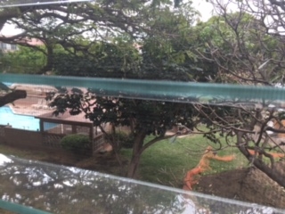 Harbor Lights condo # A325, Kahului, Hawaii - photo 4 of 12