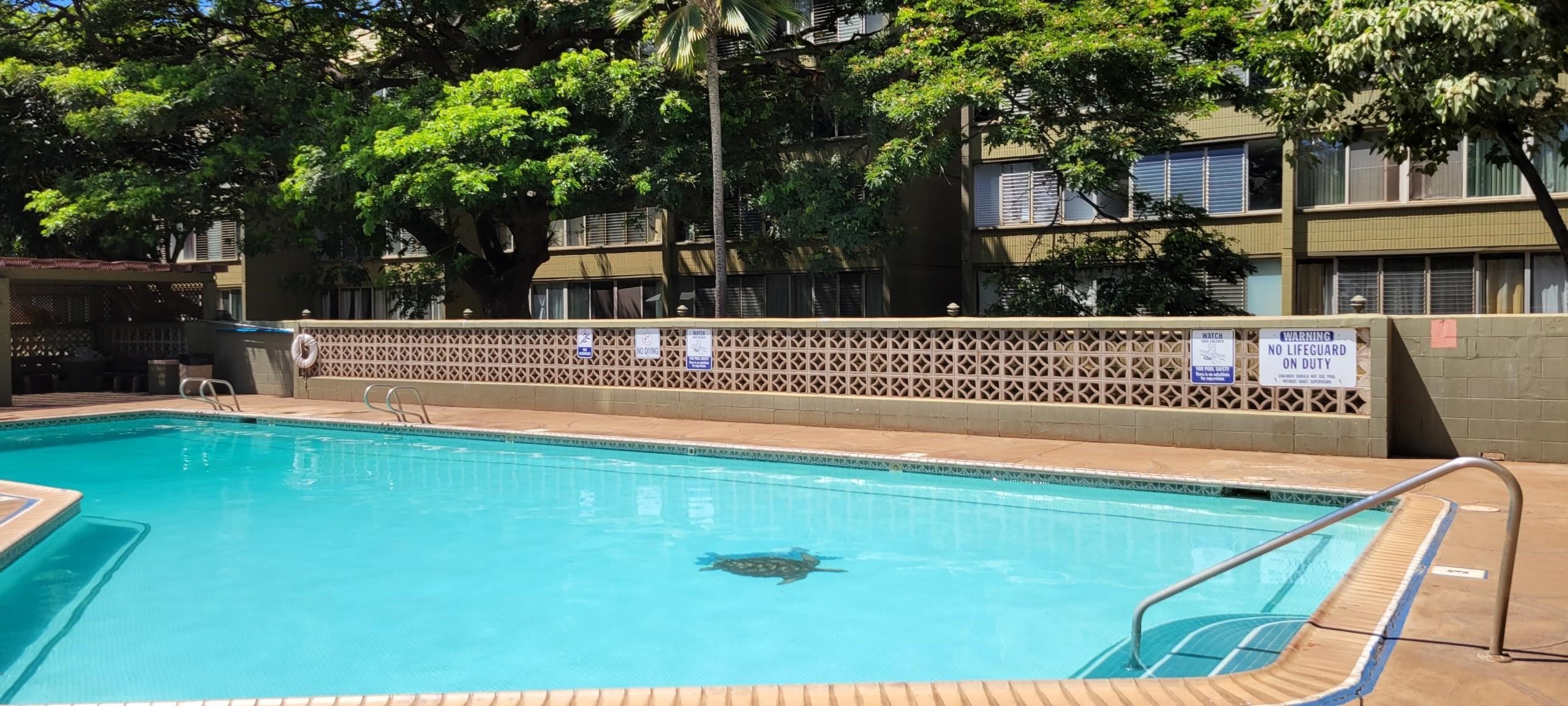 Harbor Lights condo # B213, Kahului, Hawaii - photo 21 of 22