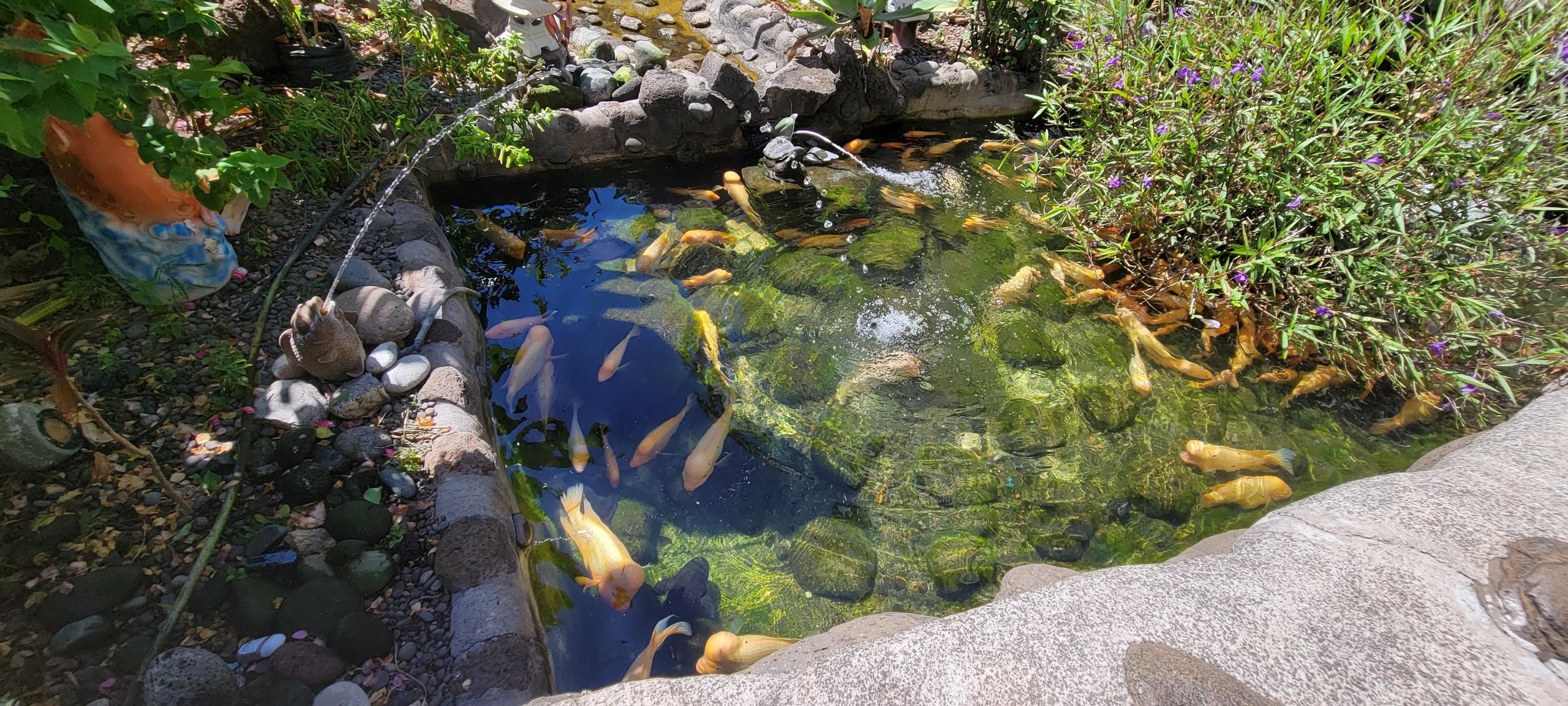 Harbor Lights condo # B-213, Kahului, Hawaii - photo 26 of 28