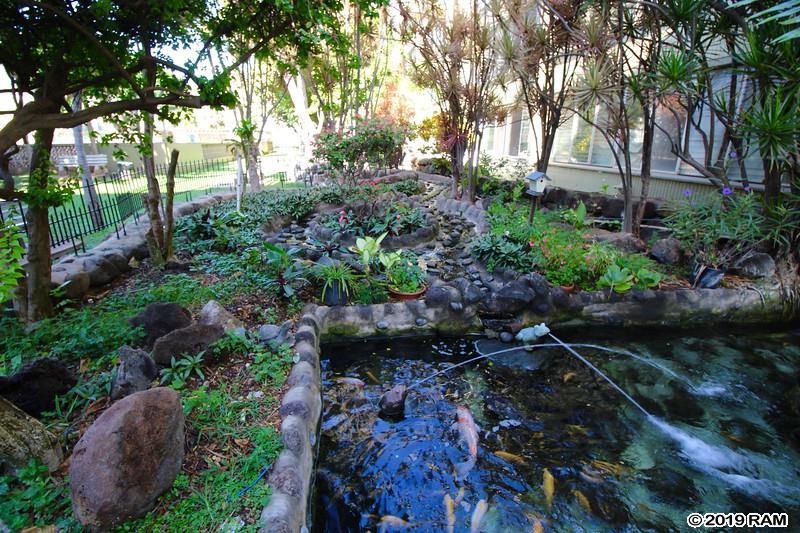 Harbor Lights condo # B304, Kahului, Hawaii - photo 3 of 21