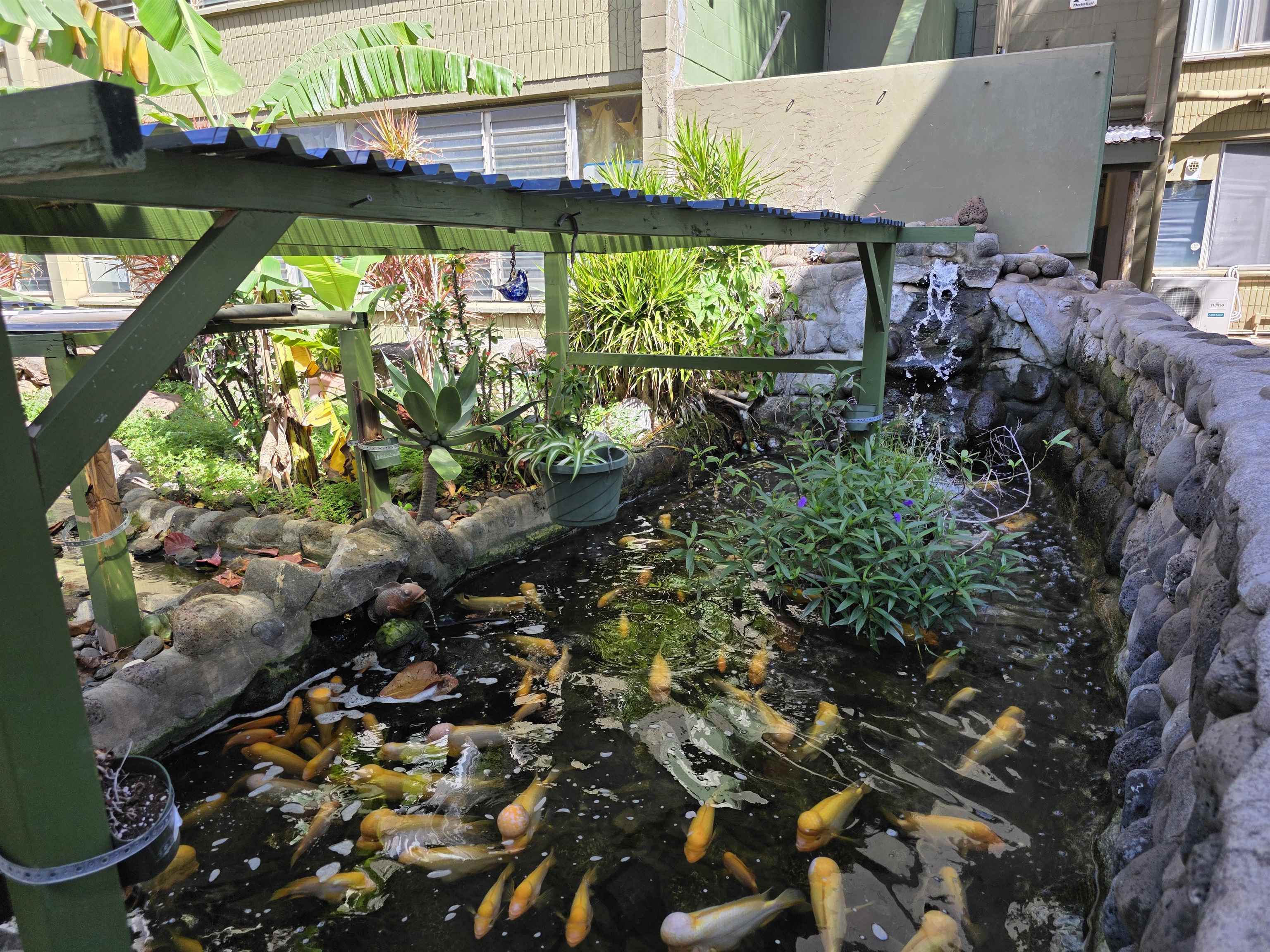 Harbor Lights condo # B306, Kahului, Hawaii - photo 27 of 29