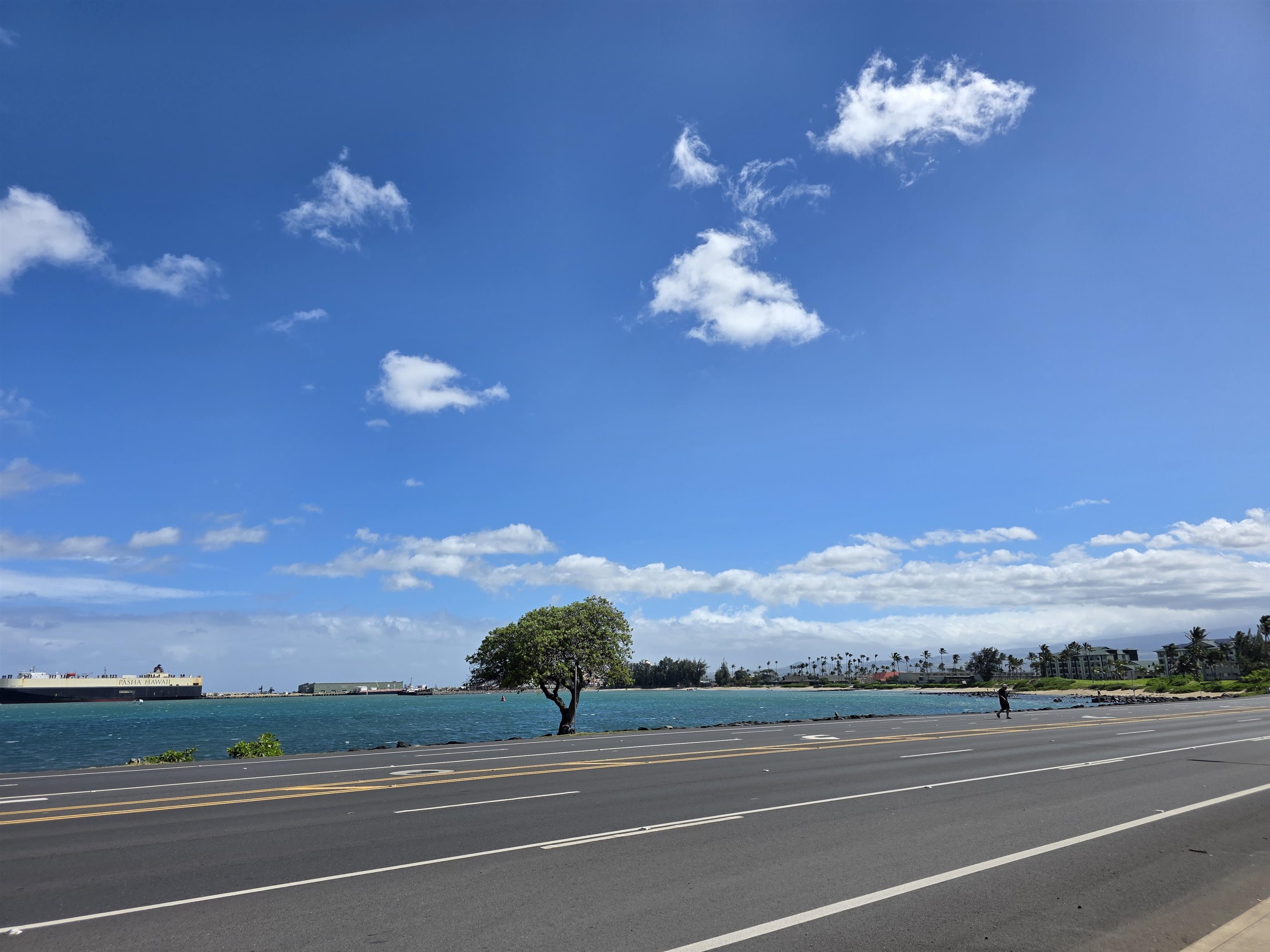 Harbor Lights condo # B306, Kahului, Hawaii - photo 29 of 29