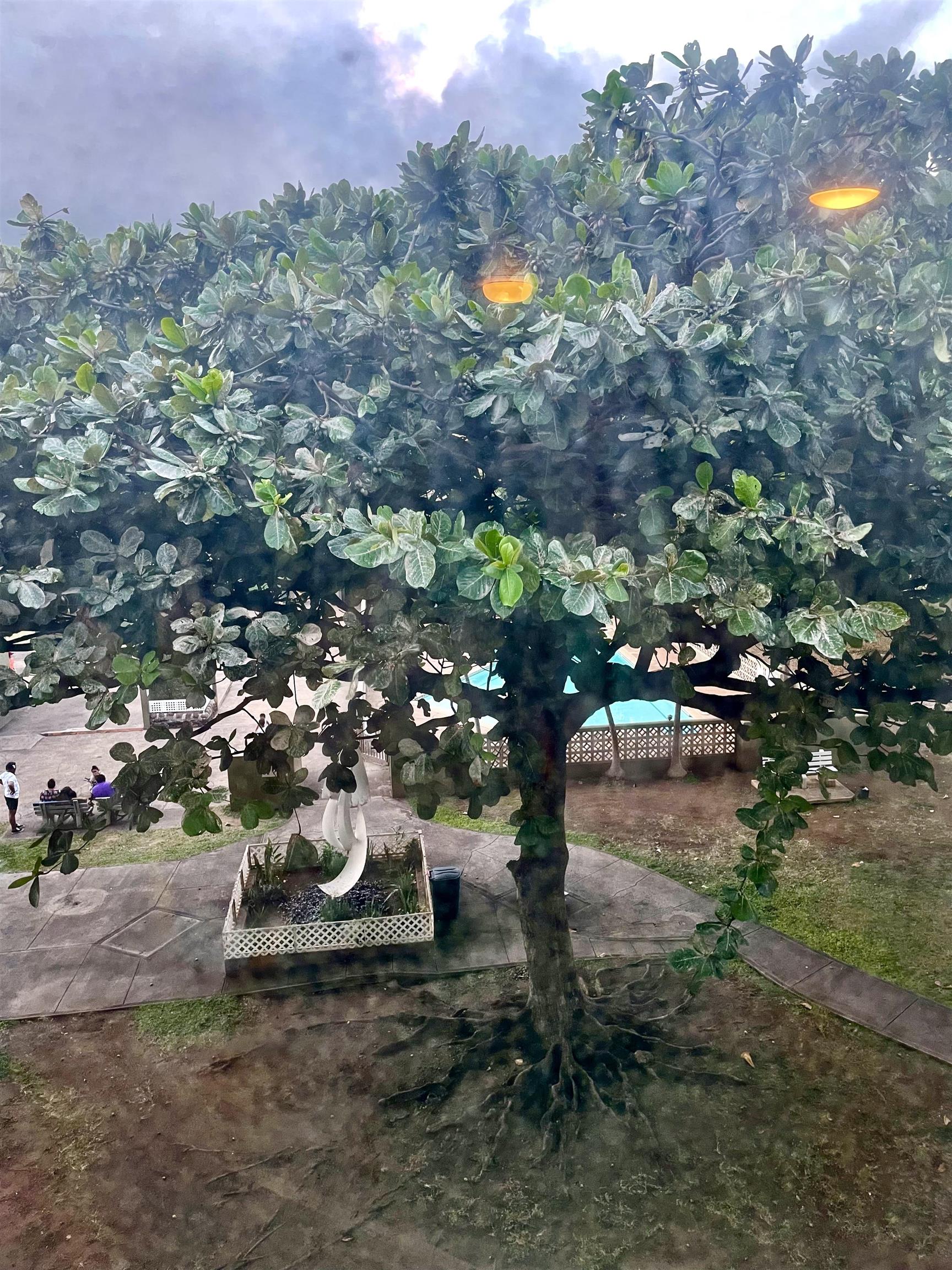 Harbor Lights condo # B411, Kahului, Hawaii - photo 12 of 15