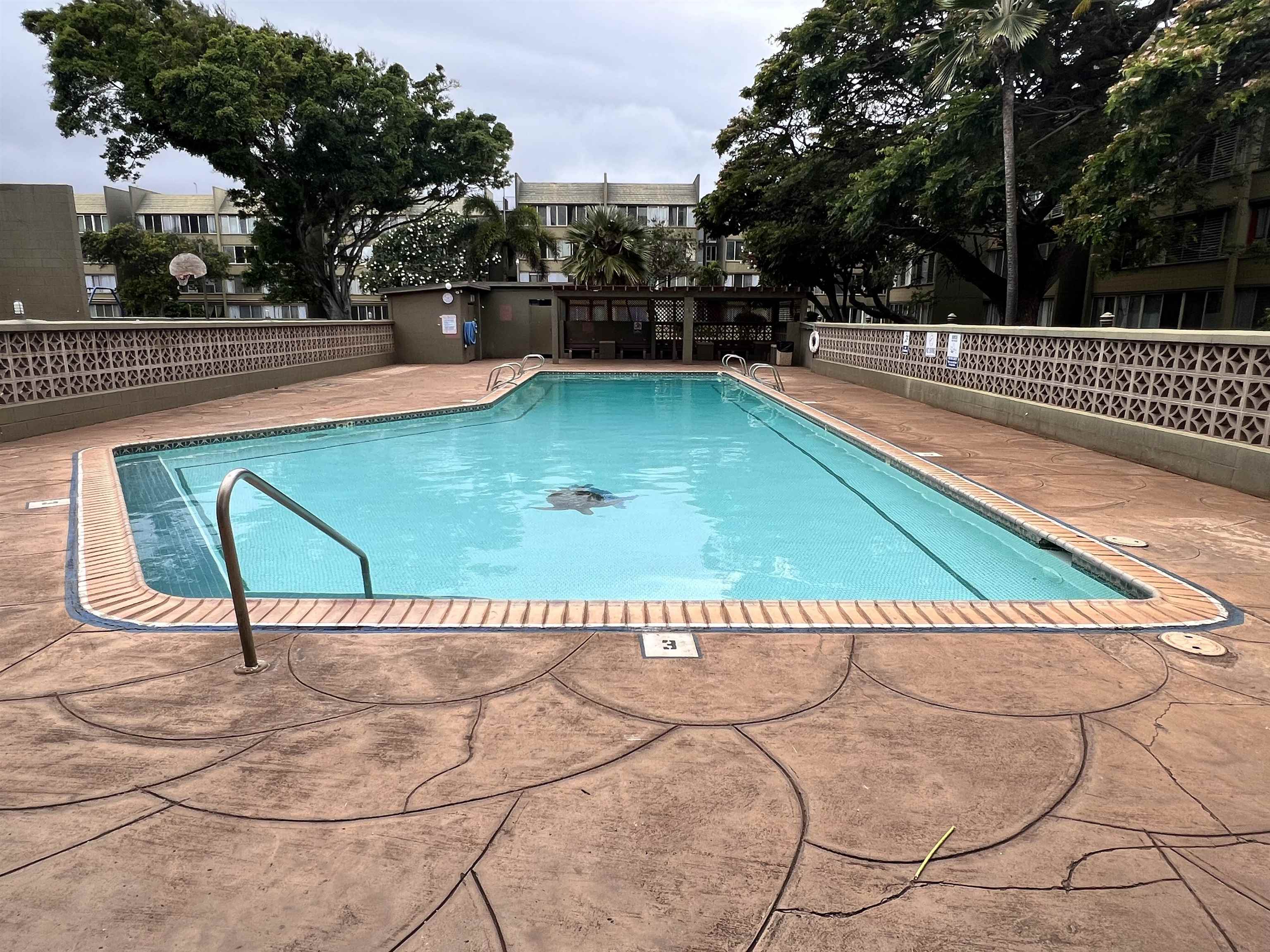 Harbor Lights condo # C116, Kahului, Hawaii - photo 12 of 14