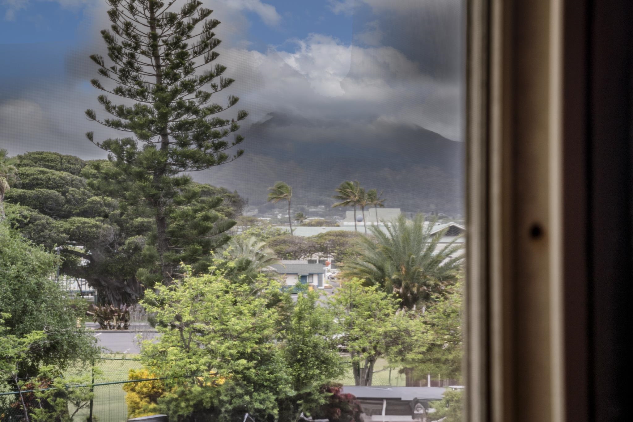 Harbor Lights condo # C203, Kahului, Hawaii - photo 27 of 37