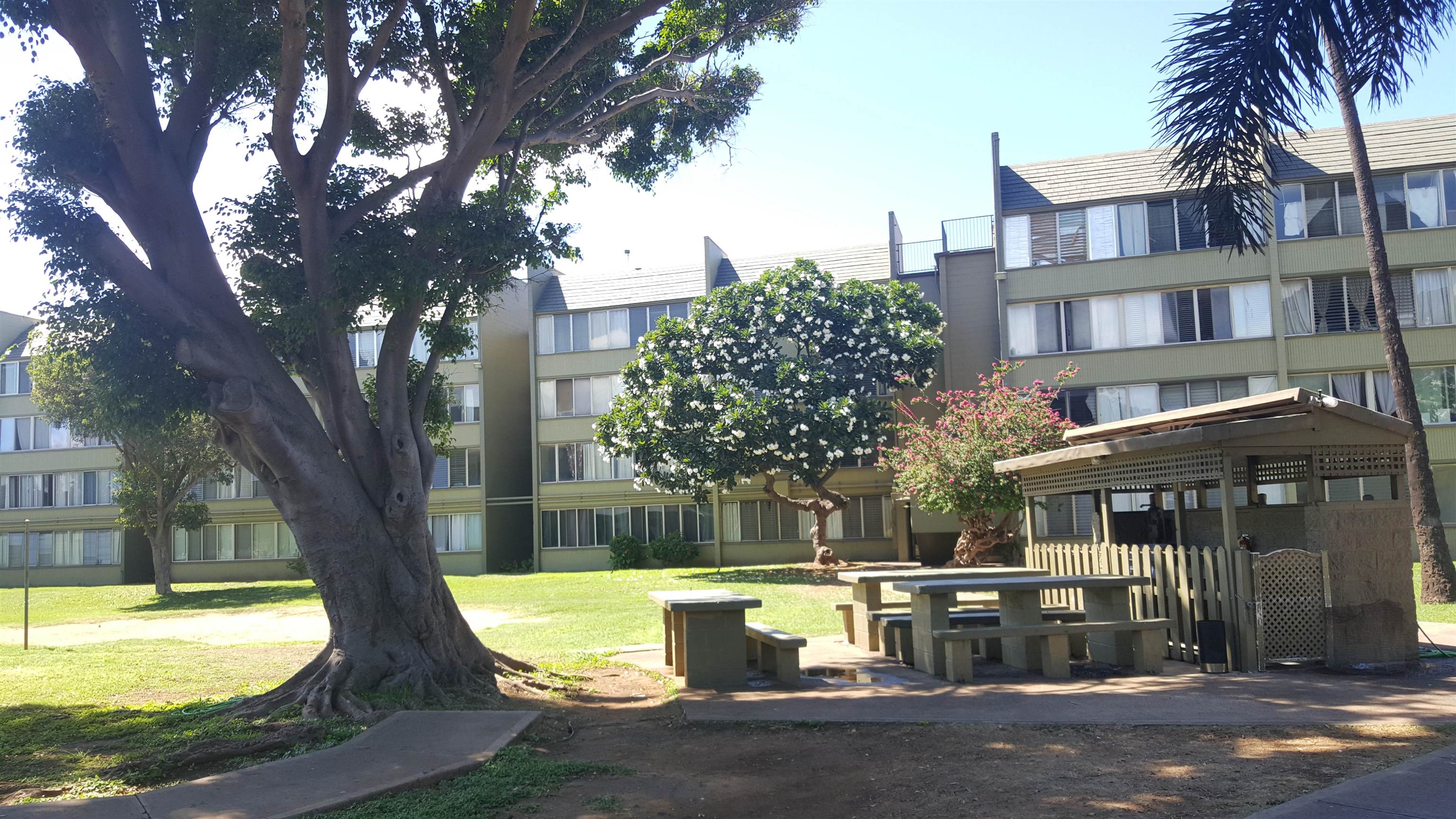 Harbor Lights condo # C309, Kahului, Hawaii - photo 11 of 25