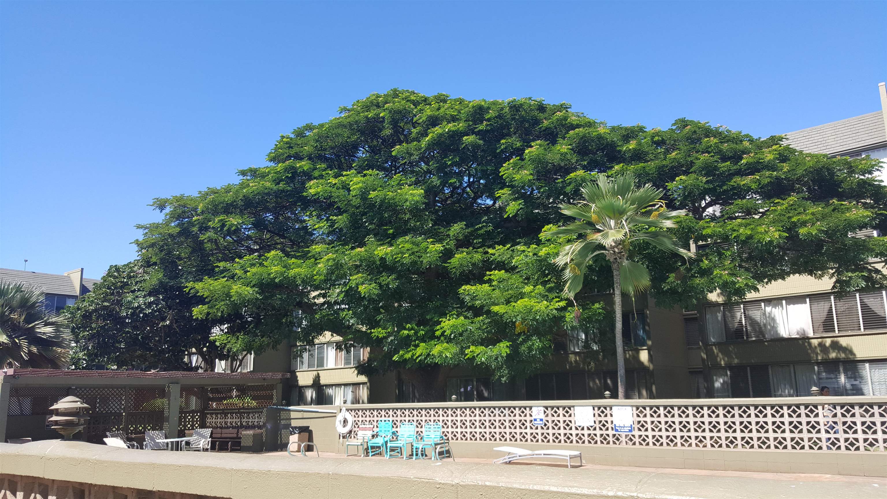 Harbor Lights condo # C309, Kahului, Hawaii - photo 12 of 25