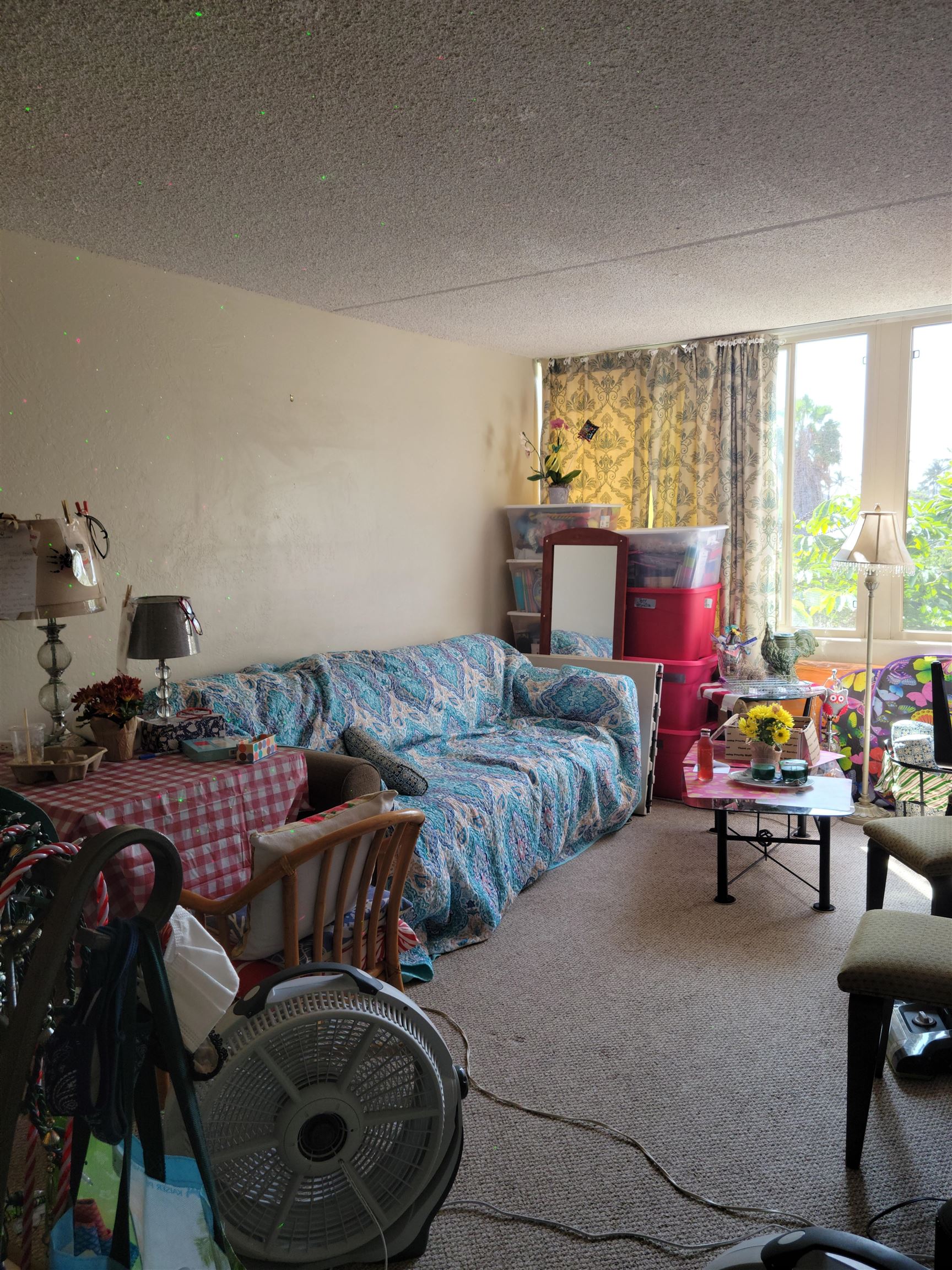 Harbor Lights condo # C309, Kahului, Hawaii - photo 25 of 25