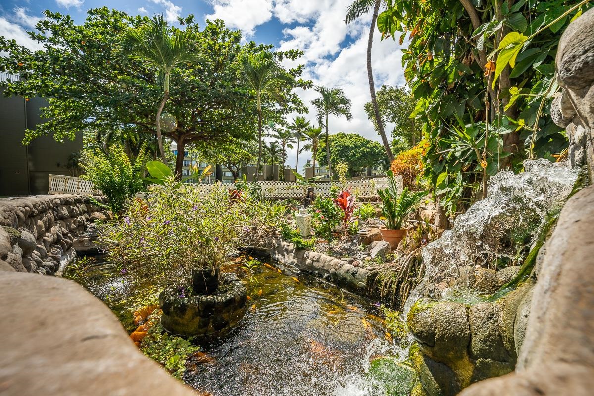 Harbor Lights condo # C310, Kahului, Hawaii - photo 2 of 3