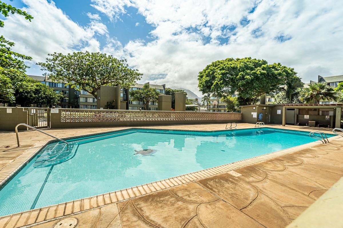 Harbor Lights condo # C310, Kahului, Hawaii - photo 3 of 3