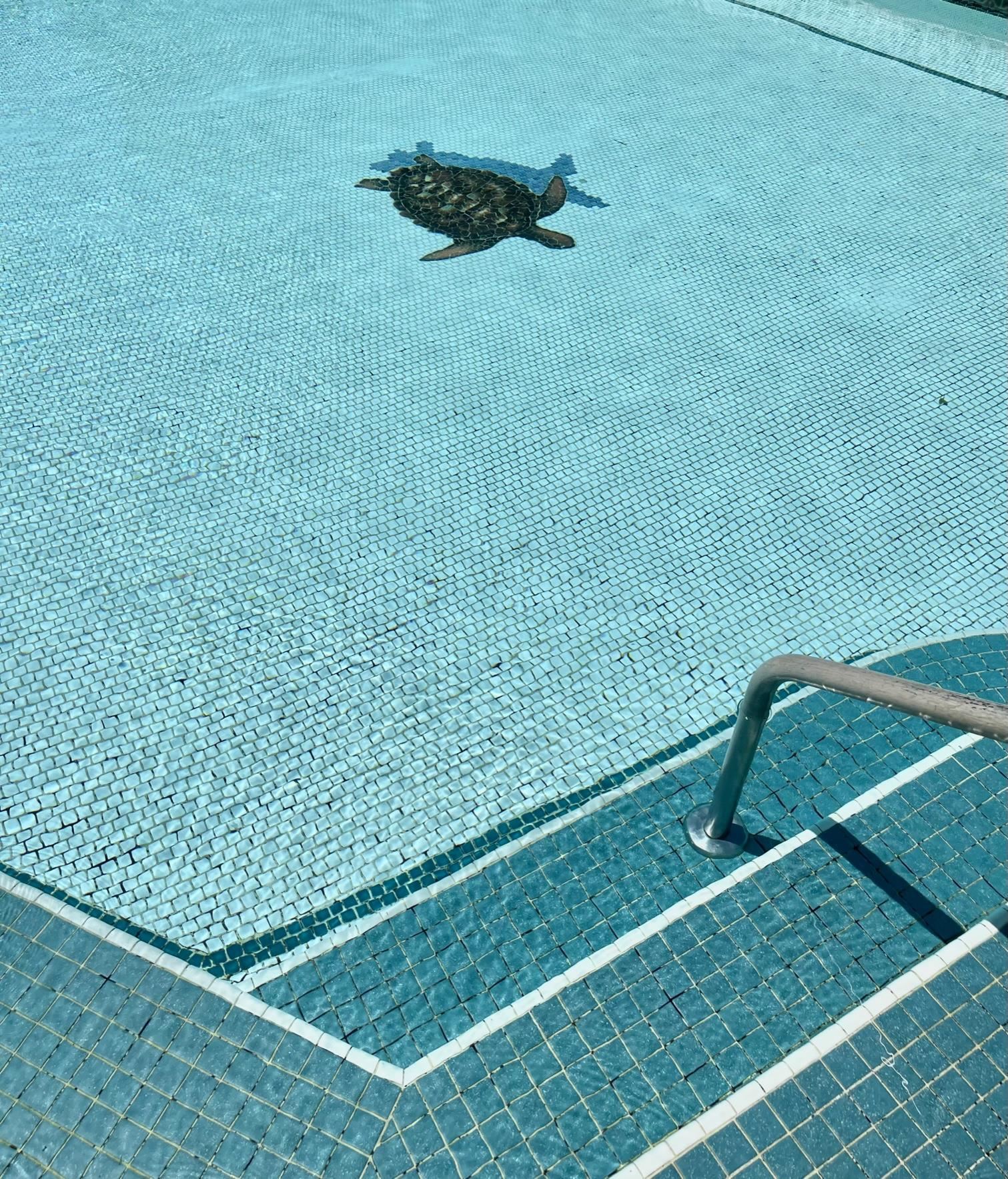 Harbor Lights condo # D112, Kahului, Hawaii - photo 11 of 29