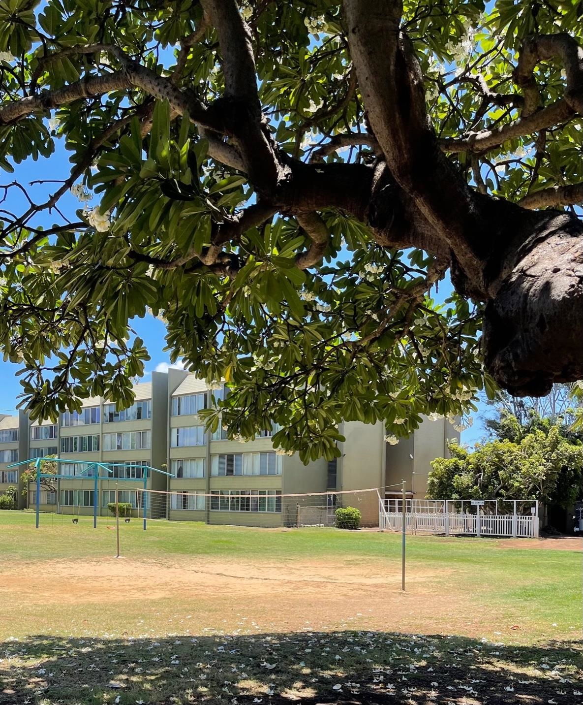 Harbor Lights condo # D112, Kahului, Hawaii - photo 22 of 29