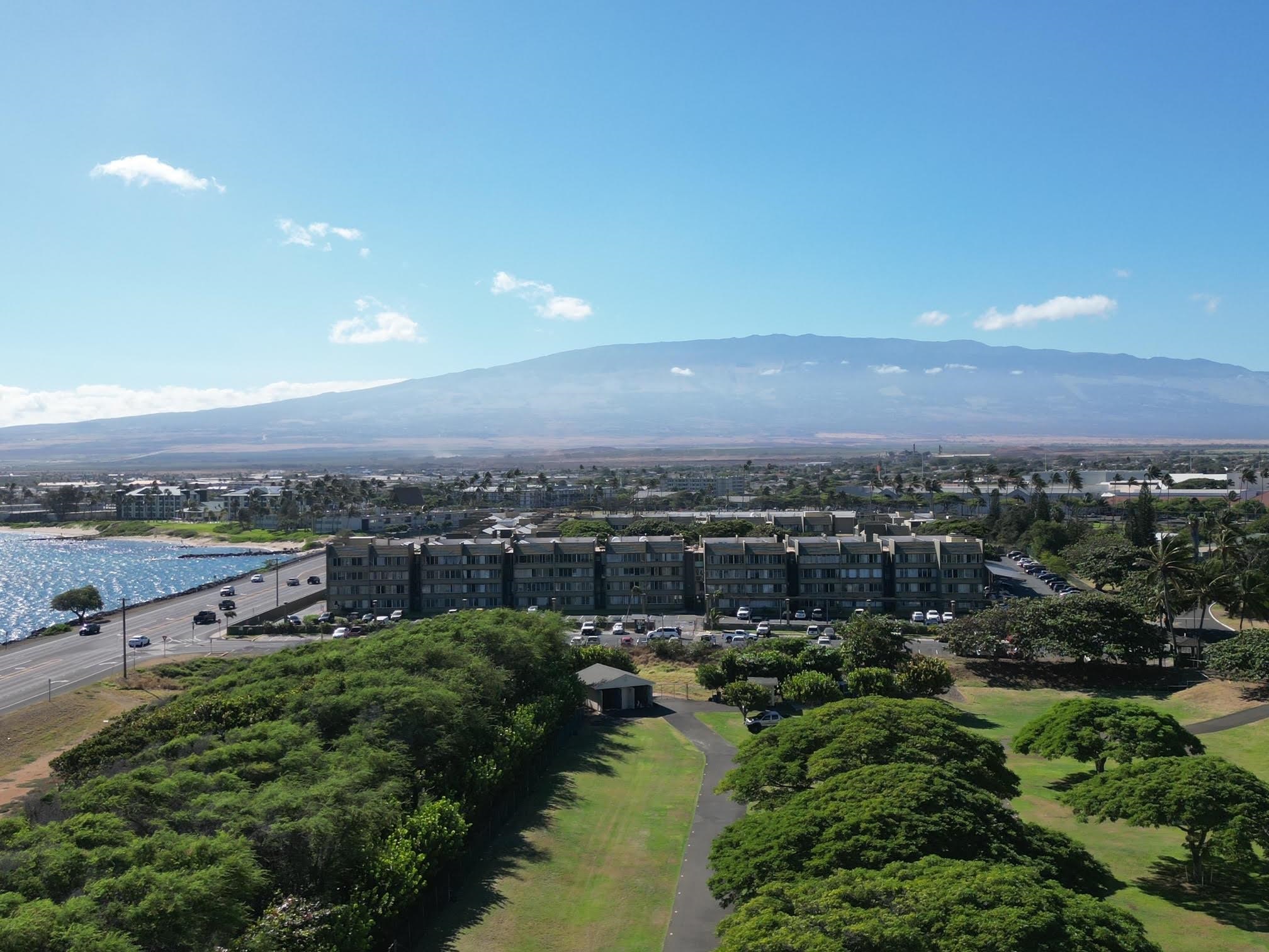Harbor Lights condo # D112, Kahului, Hawaii - photo 24 of 29