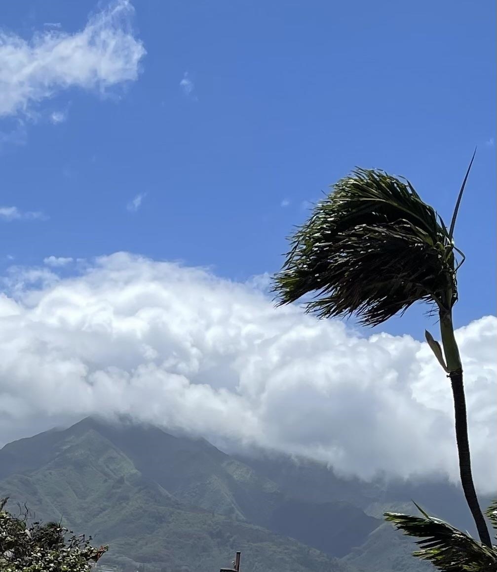 Harbor Lights condo # D112, Kahului, Hawaii - photo 26 of 29