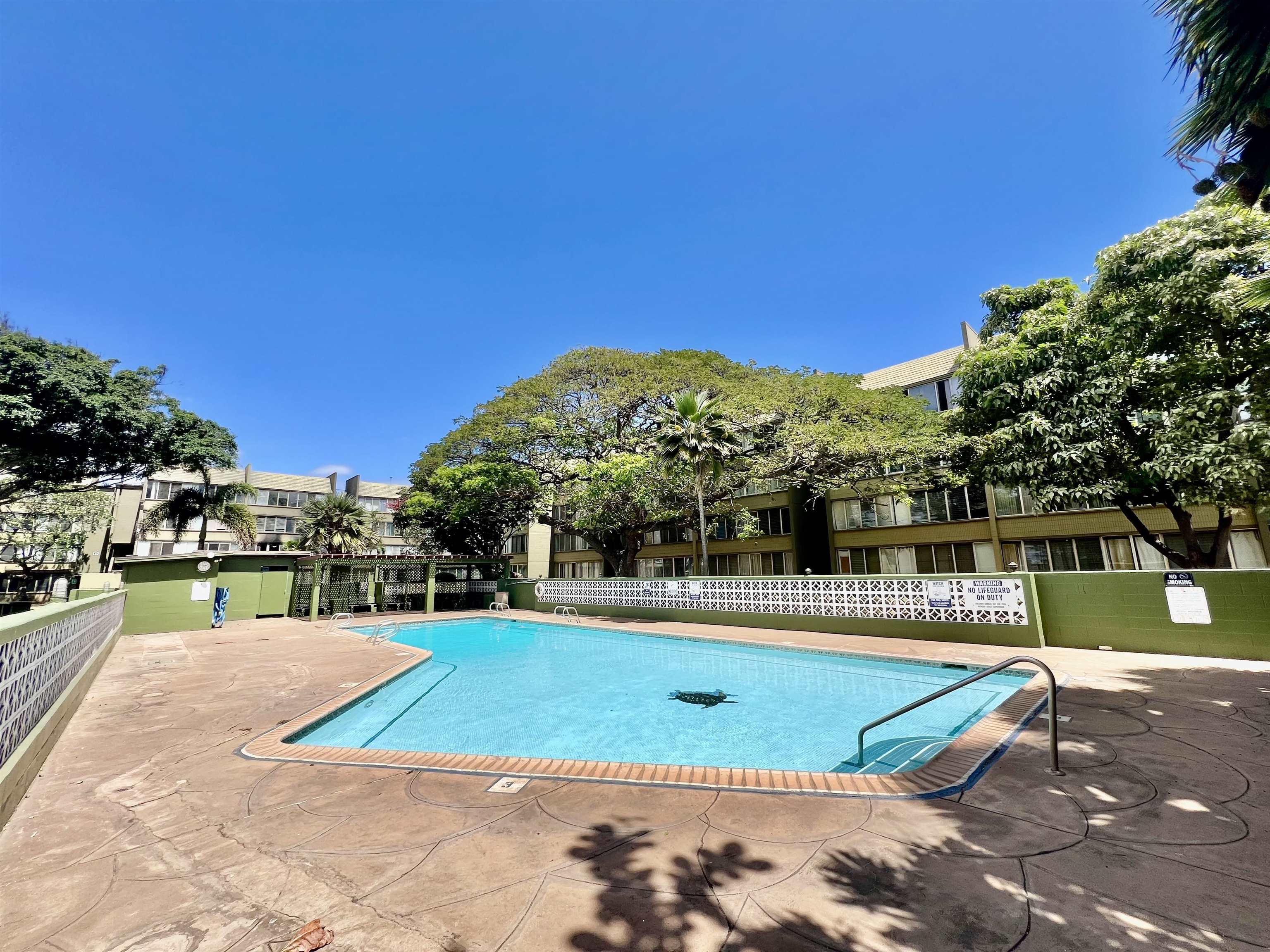 Harbor Lights condo # D117, Kahului, Hawaii - photo 21 of 24